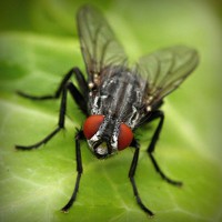 /album/matematica-e-scienze-1-e/photolia-a01-jpg/