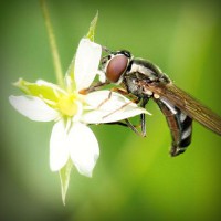 /album/matematica-e-scienze-1-e/photolia-a02-jpg/