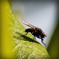 /album/matematica-e-scienze-1-e/photolia-a04-jpg/