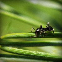 /album/matematica-e-scienze-1-e/photolia-a05-jpg/