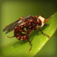 /album/matematica-e-scienze-1-e/photolia-a06-jpg/