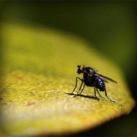 /album/matematica-e-scienze-1-e/photolia-a07-jpg/